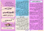 مجموعه 6 بروشور آشنایی با رشته های تحصیلی - Image 4