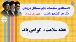 پاورپوینت گزارش مصور فعالیت های هفته سلامت - Image 4